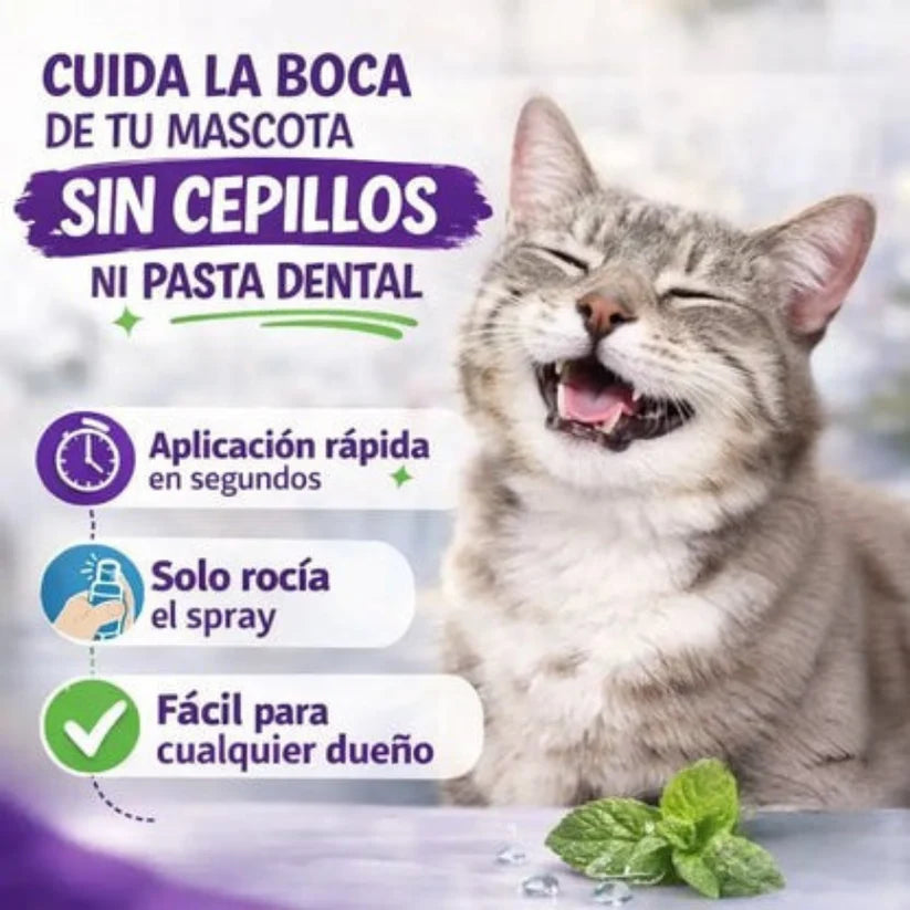 Oral Pet Spray Bucal Limpiador Mascotas