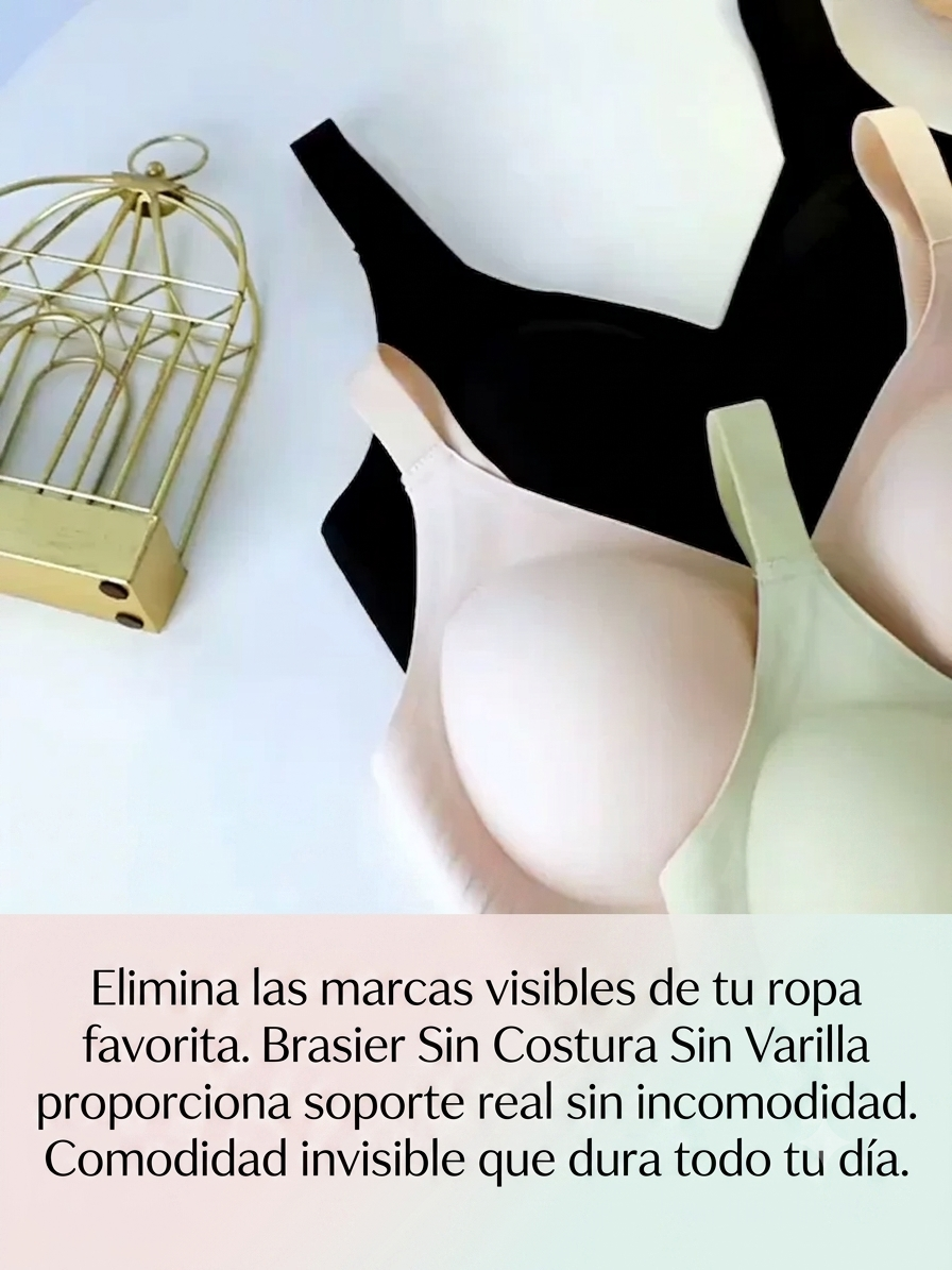 Brasier sin Costuras sin Varillas